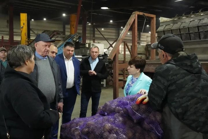 В «Береговом» показали, как хранят овощи до лета 