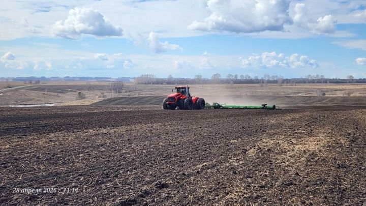 Посевная кампания продолжается в Кемеровском округе
