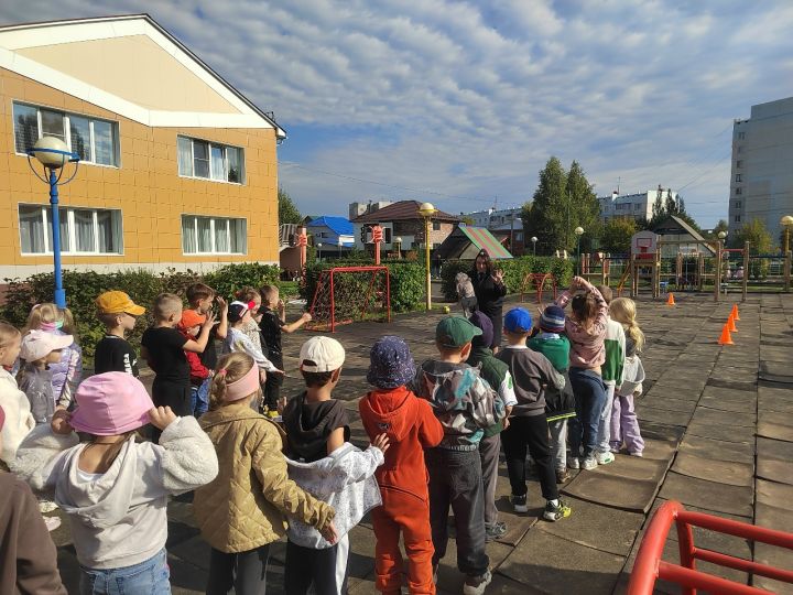 Дошкольники Металлки научили кота правилам движения