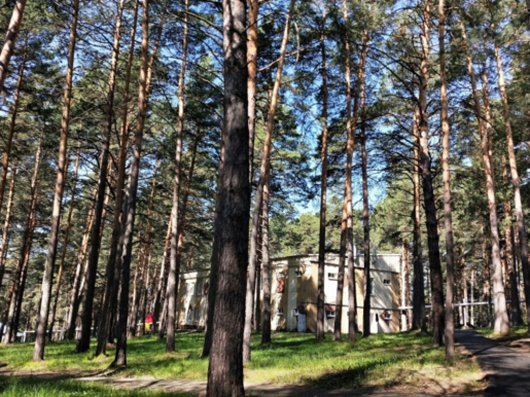Купить Путевку В Загородный Лагерь В Кемерово