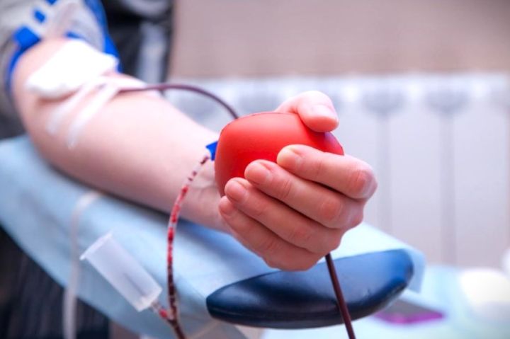 Для доноров крови предусмотрены трудовые гарантии
