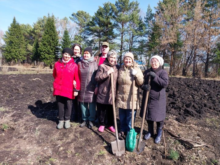 В память о фронтовиках в Берёзово посадили кедровую аллею