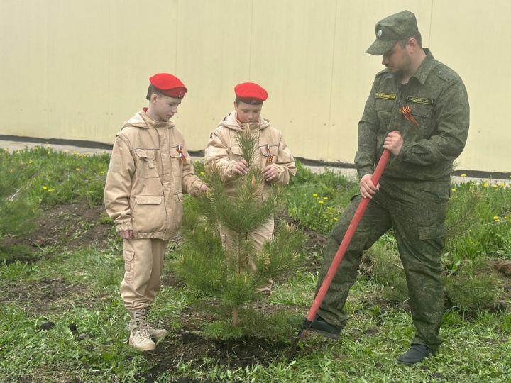 Следователи высадили деревья в Елыкаево