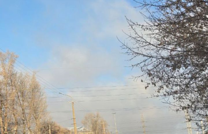 Добывающую компанию наказали за нарушения экологического законодательства