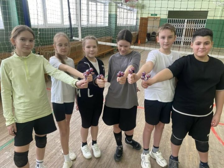 Турнир по пионерболу состоялся в Ясногорском