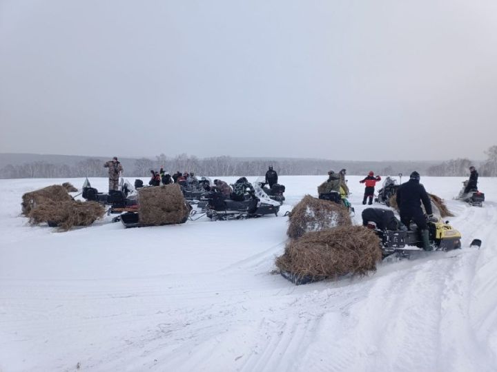 Лесных копытных подкормили сеном и зерном