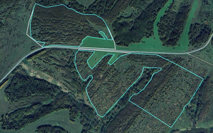 Россельхознадзор предостерег собственника зарастающего сельхозучастка