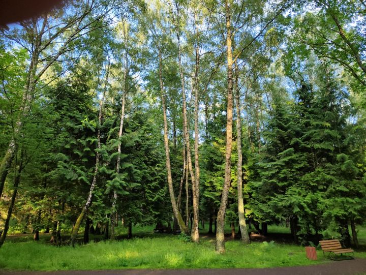 Россельхознадзор предостерег собственника сельхозугодий за зарастание участка